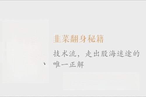 韭菜翻身秘籍 | 完结