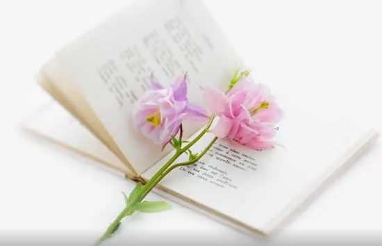 基于SpringBoot+SpringCloud微服务架构《金融理财系统》实战项目 完整资料