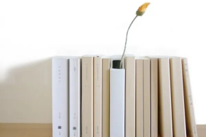 纯正美国外教课