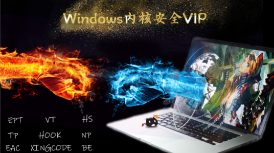 Windows内核安全VIP