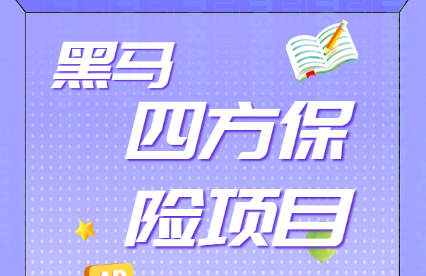 黑马四方保险项目