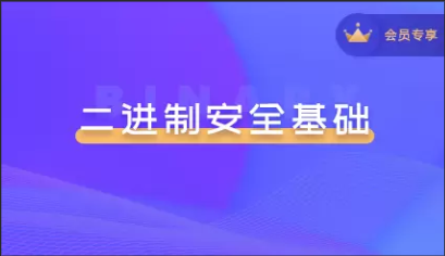 二进制安全系列教程
