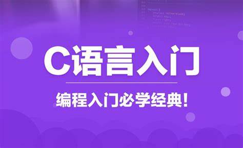 爱编程的大丙 C语言视频教程(非常详尽)