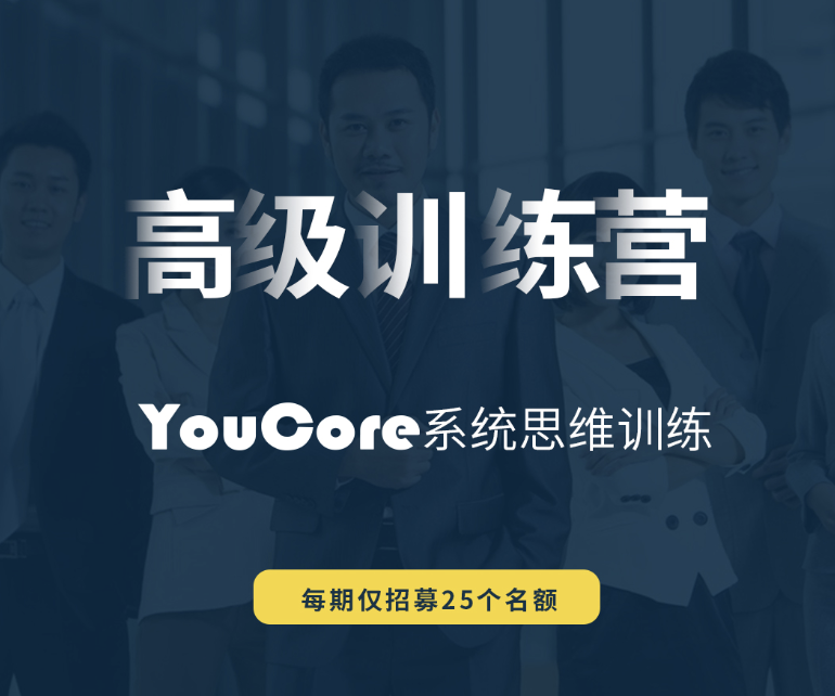 YouCore系统思维高级训练