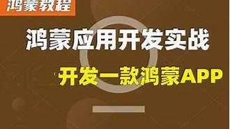 鸿蒙原生APP实战-在线商城-视频+源码+文档