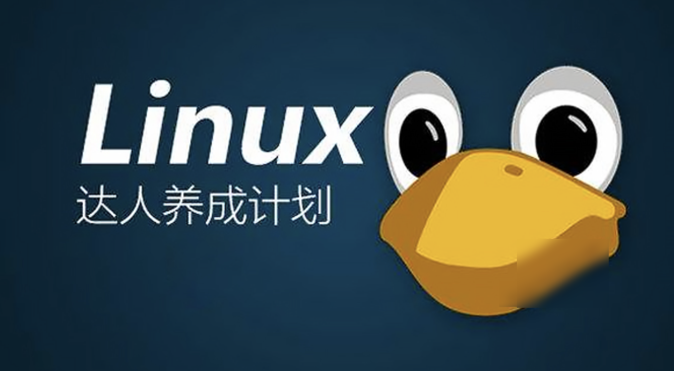 老男孩脱产74期