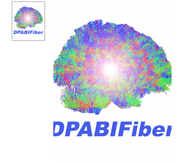 DPABIFIBER脑结构纤维与脑功能融合高阶课程
