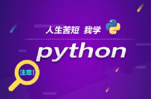 王道Python工程师2024长期班10期|价值过万