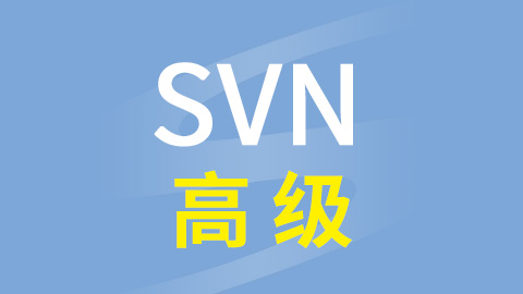 硅谷SVN高级视频