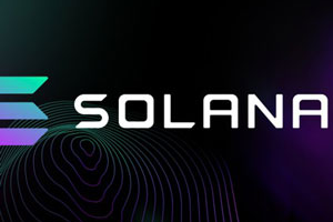 使用Rust和Typescript的Solana区块链开发者训练营(英文版)