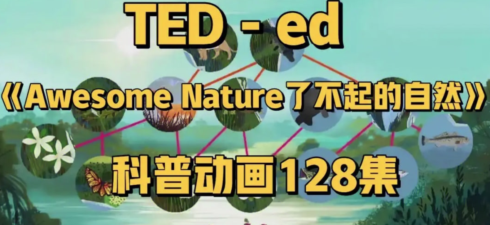 TED-ed系列科普动画《了不起的自然 Awesome Nature》