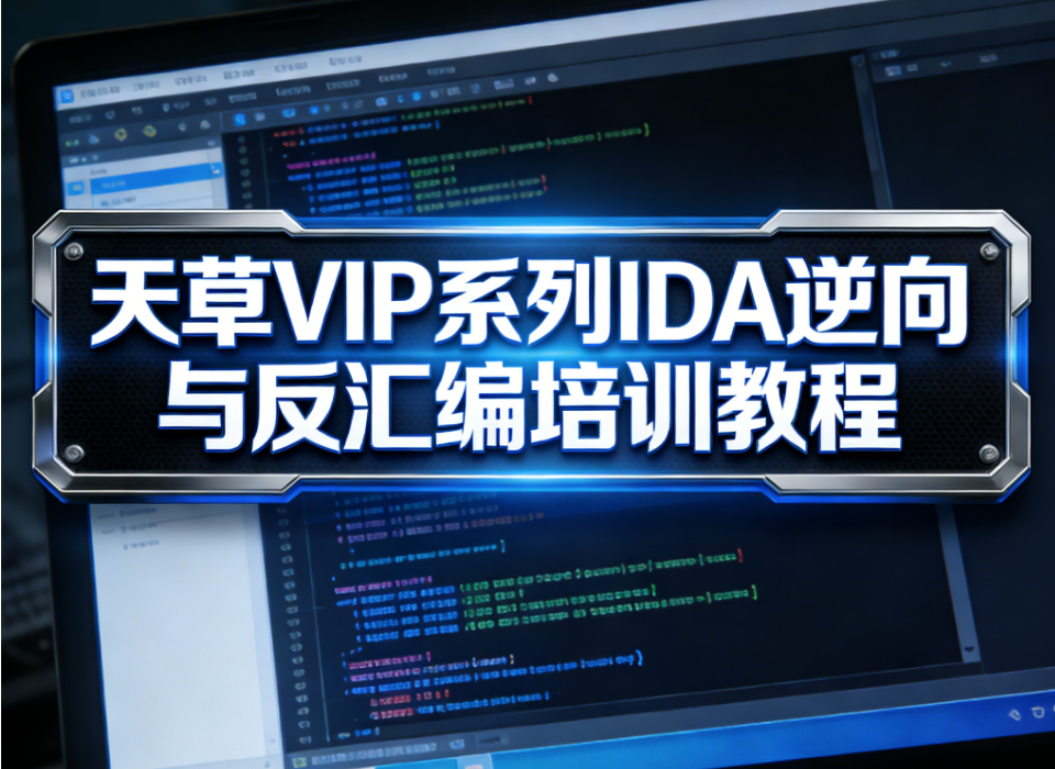 天草VIP系列IDA逆向与反汇编培训教程