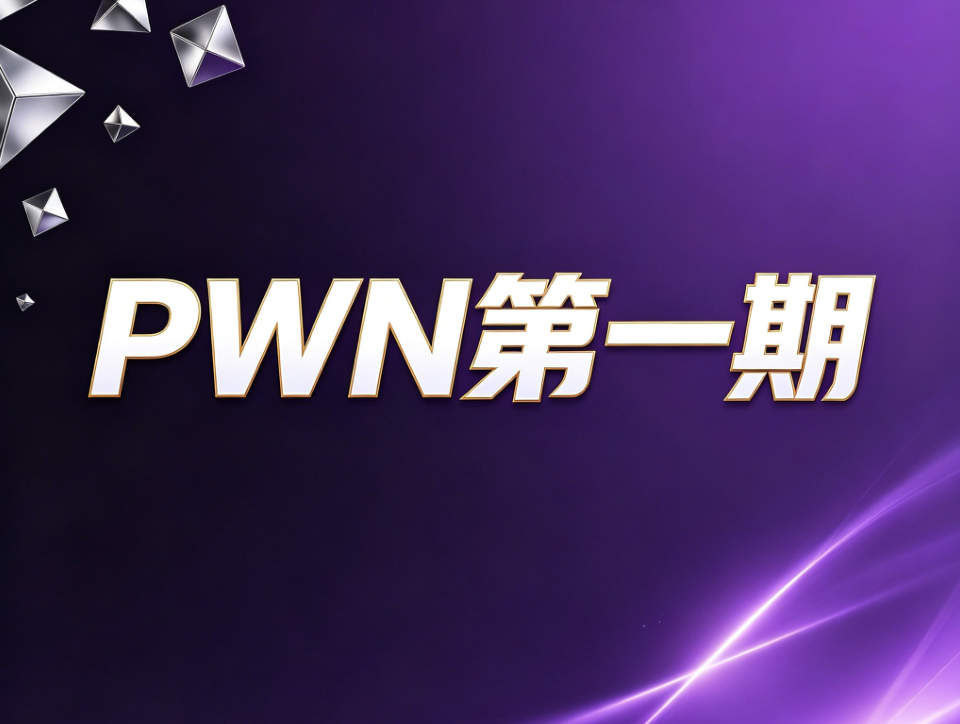 晚安PWN第一期